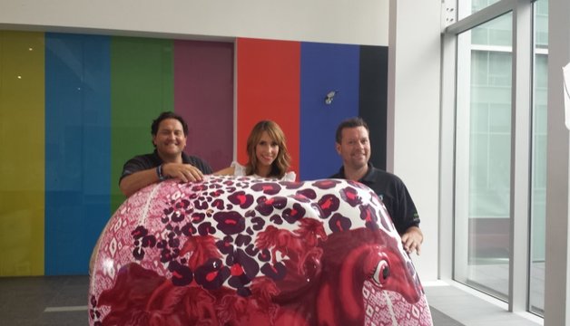 Elephant Parade Tour 2013-14 - We meet Alex Jones from the BBCs One Show